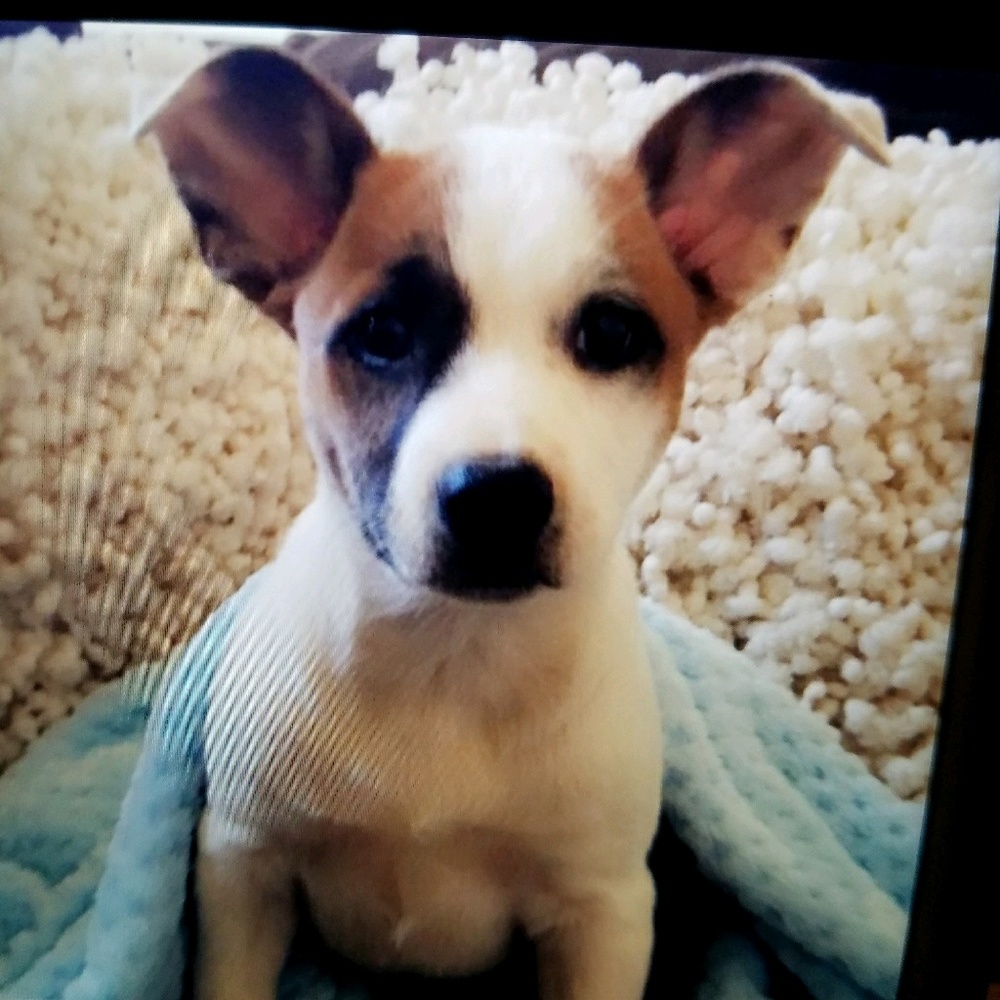 Meet your Posher, Candy